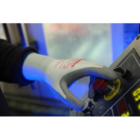 Prokotek Prt300 Kesilmeye Direncli Pu Kaplamali Eldiven Level B Level 3 Pu Kaplamali Eldiven Polat Outlet Polat Is Guvenligi Malzemeleri Online Satis Prokotek Prt300 Kesilmeye Direncli Pu Kaplamali Eldiven Level B Level 3 Pu Kaplamali Eldiven Polat Outlet Polat Is Guvenligi Malzemeleri Online Satis